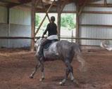 centre equestre viarmes